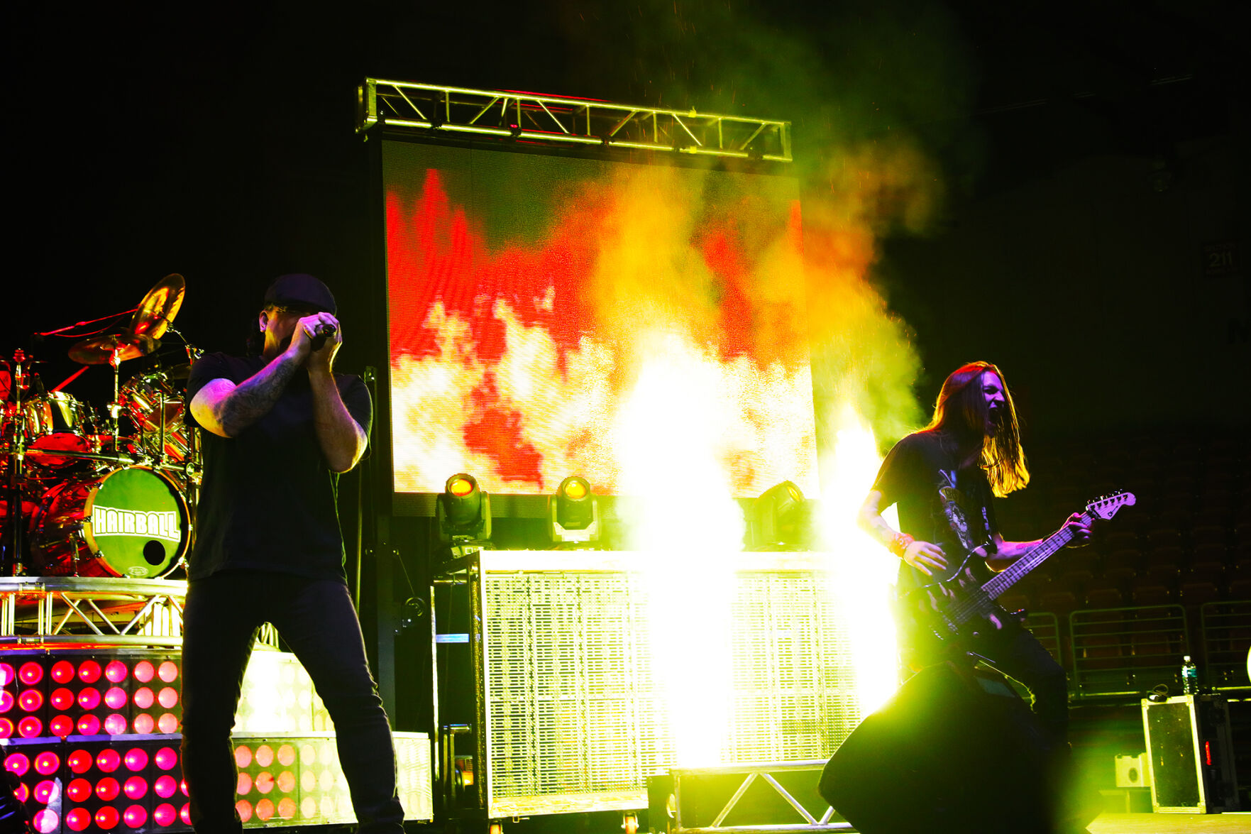 hairball 1.jpg